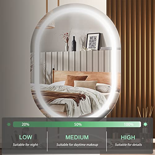 Hasipu Vanity Mirror With Lights, 15.7"X24.4" Lighted Makeup Mirror Oval Mirror,Led Makeup Mirror With 3 Color Lighting Dimmable,Light Up Mirror With Touch Control,Angle Adjustable #TOP2