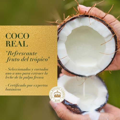 Opiniones de Herbal essences argan los 10 mejores. 15 Imagen adicional
