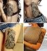 DaLin Large Temporary Tattoos, 4 Sheets (Contemplative Lion)