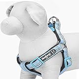 Blueberry Pet Step-in Harnesses 3M Reflective 3/4
