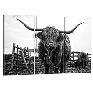 Nachi Wall - 3 Piece Animal Canvas Wall Art Black and White Highland Cow Pictures Longhorn Cattle Wall Painting Prints Contemporary Artwork Living Room Farmhouse Decorations Nachi Wall 3 Piece Animal Canvas Wall Art Black and White Highland Cow Pictures Longhorn Cattle Wall Painting Prints Contemporary Artwork Living Room Farmhouse Decorations