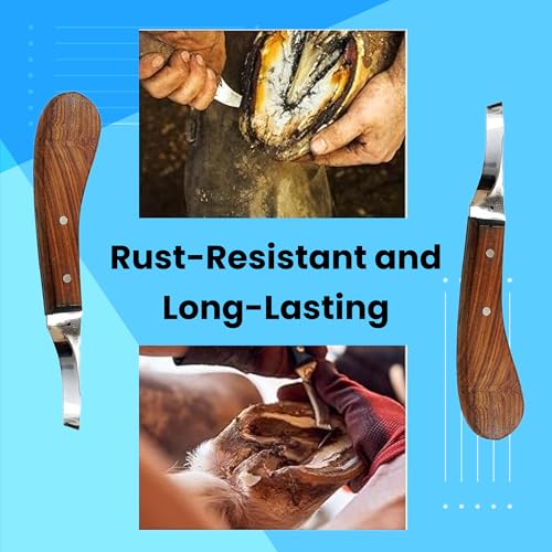 Image of Hoof Knife Single Sided Edge Curved Blade - Stainless Steel Curved Blade Farrier Tool with Wooden Handle, Multipurpose Hoof Trimming Knife for Livestock, 3-Inch Blade, 8.5-Inch Overall