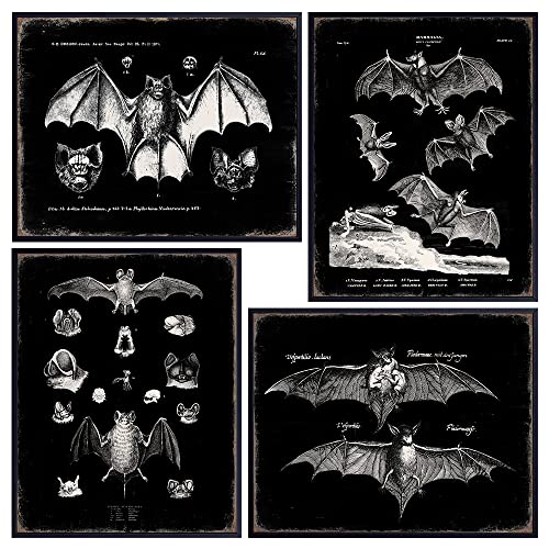 Yellowbird Art & Design Black Bats Gothic Wall Decor - Vintage Retro Wall Art & Decor - Room Or Home Decor - Hipster Decoration - Horror Vampire Bat Gift cover