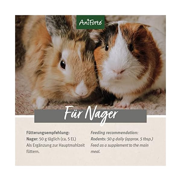AniForte Natur Nagerfutter für Hamster, Meerschweinchen, Kaninchen, Nager 4,5kg - Artgerechtes Futter mit Gemüseflocken, Getreide, Luzerne und Kräutern - Ohne künstliche Zusätze – Bild 6
