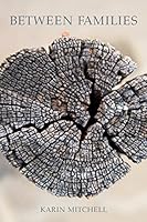 Between Families 1499584776 Book Cover