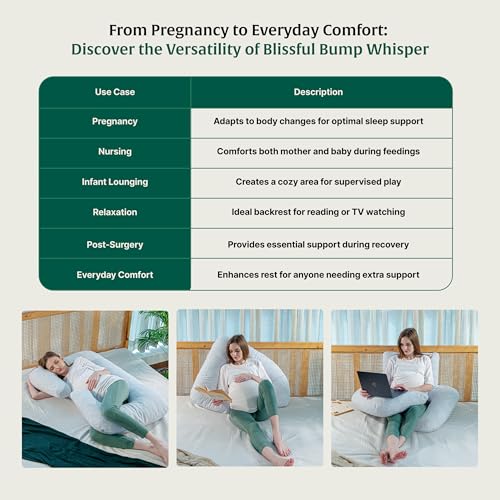 Image of The White Willow Pregnancy Pillow for Pregnant Women-Maternity Pillow for Pregnancy Sleeping-C Shape Pillow for Sleeping-Pregnancy Pillow for Women-Belly Support Pillow-Gift for Expectant Mother-Blue