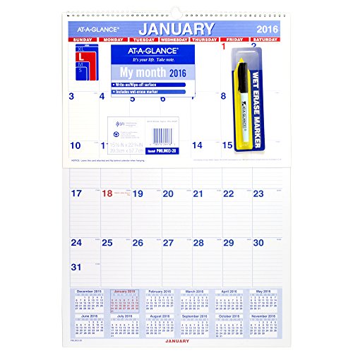 AT-A-GLANCE Monthly Wall Calendar 2017, Erasable, 15.5 x 22.75 Inches (PMLM03-28)