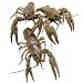 Toledo Goldfish Live Crayfish for Ponds, Aquariums or Tanks – USA Born and Raised – Live Arrival Guarantee (25 Count)