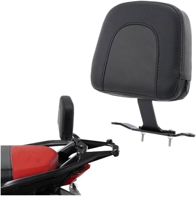 V4 V4S 2021-2024 RS オートバイアクセサリー用ユニバーサルバイクパッセンジャーバックレスト