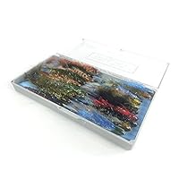 Algopix Similar Product 11 - Tacky Fishing The Predator Fly Box