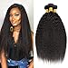 Produktbild ClAROLAIR Human Hair Bundles Light Kinky Straigh 3 Bundles Unprocessed Remy Brazilian Hair Yaki Straight Bundles 95g±5g Natural Black (12 14 16 '')