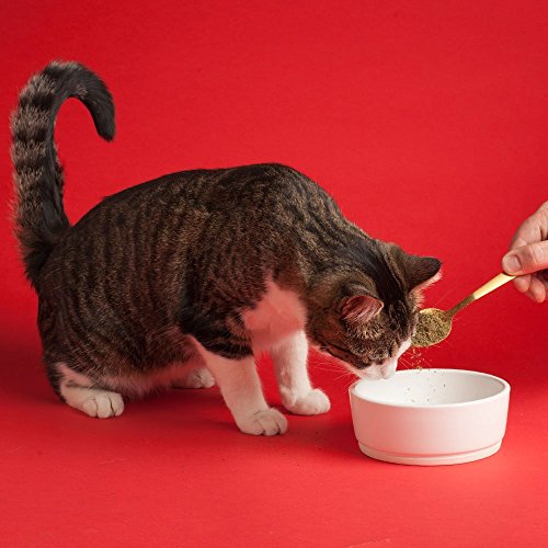 The Missing Link Original All Natural Superfood Cat Supplement Healthy Skin Coat, Immunity And Overall Health Feline Formula, 6 Ounces, 2 Pack #TOP4
