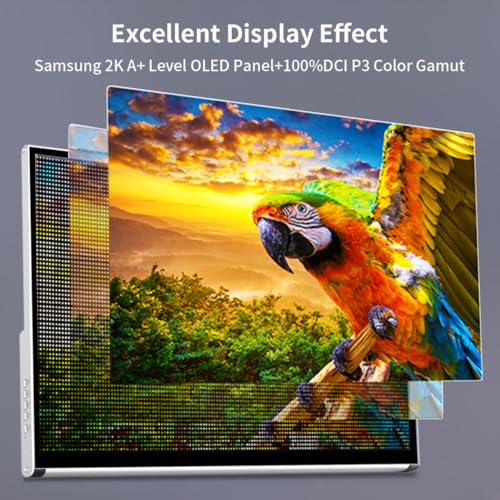 Image of OLED Portable Monitor 13.3 inch, 2K Touchscreen Gaming Monitor, 100% DCI-P3, 10-Bit Color, 1ms, Ultra-Slim w /Kickstand, USB-C & HDMI External Display for Laptop /PC
