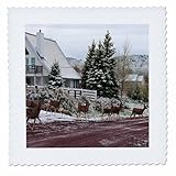 Square dimensions (in inches): 12 L x 12 W, image dimensions (in inches): 10 L x 10 W 100% poloyester; image is soft to touch. Made in USA Edges have pinking shear cut Image will not fade with washing. Image not a transfer, part of material