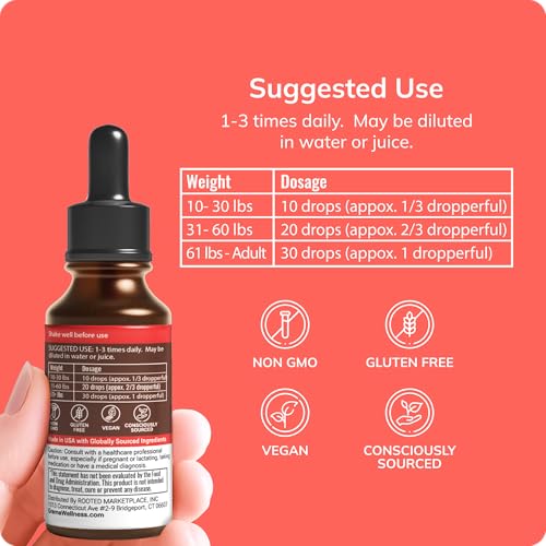 Grama Wellness - Focus & Attention Organic Kids Brain Vitamins & Cognitive Support Drops, ADHD Supplement with Ginkgo Biloba, Rhodiola, Gotu Kola, Licorice Root | Made in USA – 30 Servings - Image 4