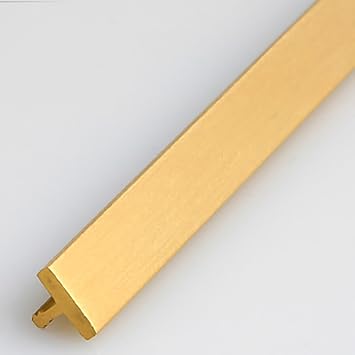 TREGOO T Molding Floor Transition Strip Brass, Tile to Carpet Edge Trim Bar Joining Flooring Gaps, Flat Seam Cover for Indoor Wall Decoration Size 5mmx5.5mm, 78634