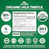 Zazzee USDA Organic Milk Thistle 30:1 Extract, 80% Silymarin, 120 Vegan Capsules, 4 Month Supply, Certified Kosher, High Potency Liver & Antioxidant Support, Silybum Marianum, Non-GMO, Made in the USA