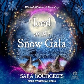 Iced at the Snow Gala Audiolibro Por Sara Bourgeois arte de portada