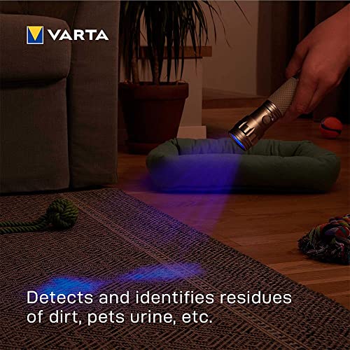 VARTA UV Taschenlampe LED inkl. 3x AAA Batterien, UV Light, zum Prüfen & Verifizieren Banknoten, Fingerabdrücken, Hygienehelfer, zum Erkennen von Schmutzrückständen & Urin von Haustieren