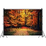 Laeacco 10x6.5ft Autumn Forest Photography Backdrop Natural Scenery Fall Landscape Deciduous Background Fall Harvest Maple leaves Mountain Road Newborn Child Adults Portrait Baby Shower Birthday Decor