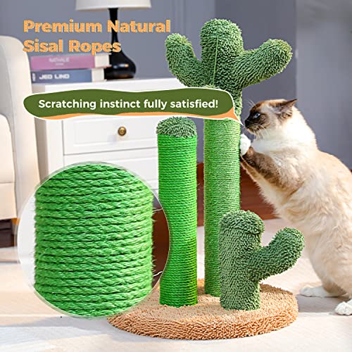 Pawz Road Cat Scratching Post Cactus Cat Scratcher Featuring With 3 Scratching Poles And Interactive Dangling Ball -Medium 23 Inches #TOP3