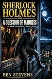 sherlock holmes film  Sherlock Holmes & a Question of Madness (English Edition)