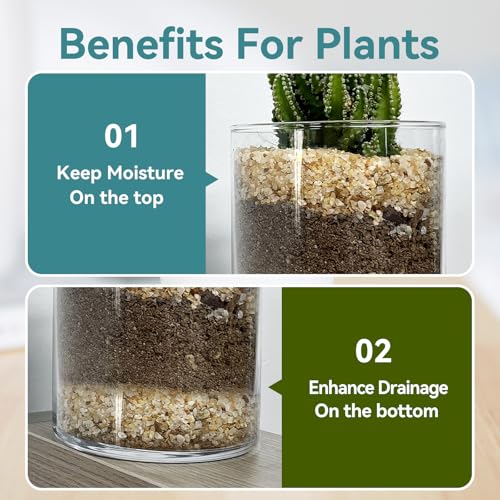 Rahato 1-2mm Coarse Sand for Plants, 12lbs Horticultural Sand for Succulents, Desert Silica Sand for Cactus, Vases, Aquariums, Terrarium, Fish Tank, Drainage Rocks for Potted Plants, Bamboo, Crafts - Thumbnail 3