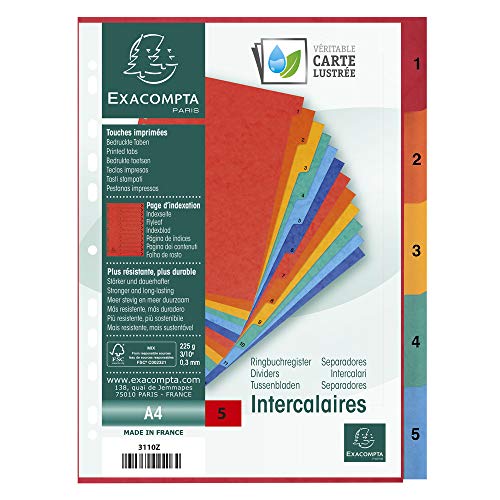 Intercalaires A4 Exacompta 5 onglets pour structurer vos dossiers de cours - 6