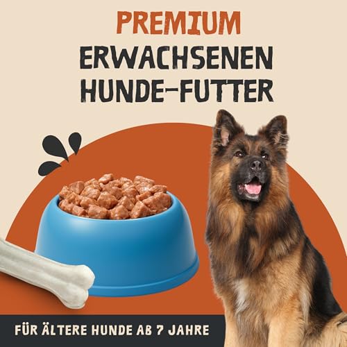 ROPODOG Hundefutter Nassfutter 6×800 g für Erwachsene Hunde Aller Rassen Premium Qualität getreidefrei, proteinreich, gut verträglich – Vollnahrung im Vorratspack (Rind & Herz)