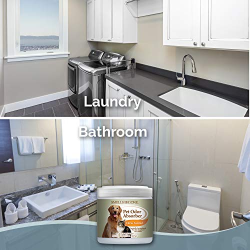 Smells Begone 59616 Air Freshener Pet Odor Absorber Gel thumb #5