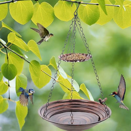 Bain à oiseaux extérieur pour jardin et balcon de passionnés - 4