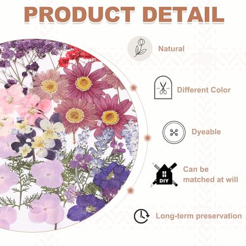 Hojas de flores prensadas secas bulk 46 piezas miniatura 3