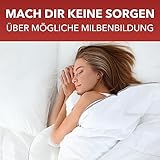 Bioformel LTK-008 500ml Milbenspray & Milbenabwehr mit Langzeitwirkung - Anti Milben-Spray für Matratzen, Textilien, Polster & Bett - Bekämpfung von Milben Hausstaubmilben Bettwanzen Parasiten