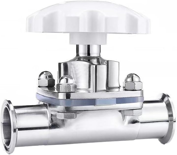 DN65(2-1/2) 316 Stainless steel diaphragm valve manual quick release diaphragm valve diaphragm valve manual two-way diaphragm valve
