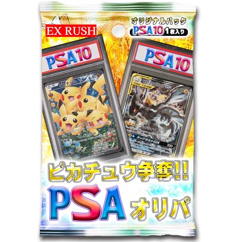 �y PSA10 �m�� �z PSA10�m��I���p