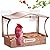 Window Bird Feeder, Metal - with Strong Suction Cups, Large Outdoor for Viewing Bird Watching Gift (Curved)