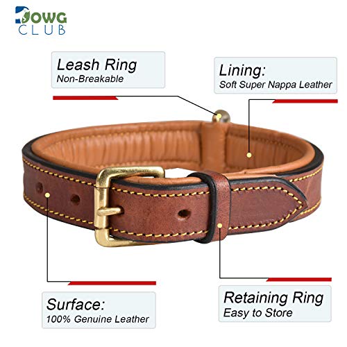 Dowgclub | Genuine Leather Dog Collar | Full Grain, Heavy Duty | Padded, Comfortable, Strong | Best For Pups, Small, Medium, Large, X- Large Dog Breeds, (Medium (Fit Neck Size 14.5"-18.5"), Brown) #TOP1