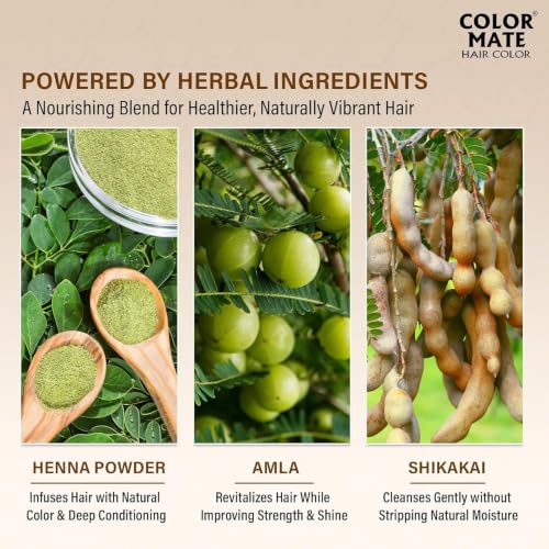 Image of Color Mate Natural Henna Hair Color Powder Brown | No Ammonia Hair Colour | Long Lasting Natural Color | Soft, Smooth & Shiny Hair | 8 Minute Application | 10g | Pack of 10