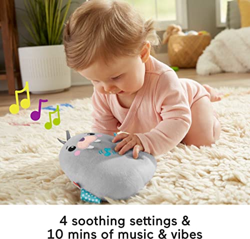 Fisher-Price Infant Sound Machine Chill Vibes Walrus Soother Plush Baby Toy With Music Vibrations & Customizable Settings #TOP2