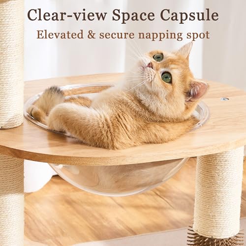 Árbol Moderno de Madera para Gatos Interior 38 in miniatura 4