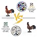LC JoyCre Rooster Toys Rooster Figurine Toy Animal Figurines for Toddlers Preschool Animals Figures Eduactional Project Diorama Model Toy for Kids