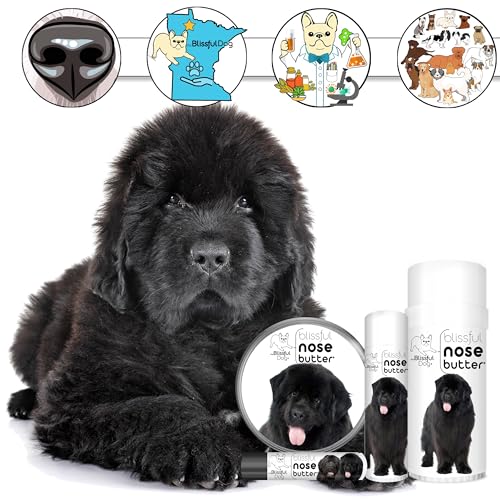 Image of The Blissful Dog Newfoundland Unscented Nose Butter - Dog Nose Butter, 4 Ounce