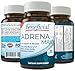 Adrena-Maxx - CHEWABLE Adrenal Support 90ct - Minimize Fatigue - Reduced Response to Stress - Energy Booster - Mental Clarity - Made with Organic Ingredients - 100% MONEY BACK GUARANTEE