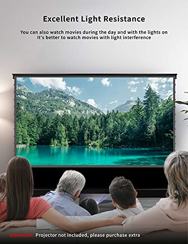 Projector Screen and Stand 120 Inch
