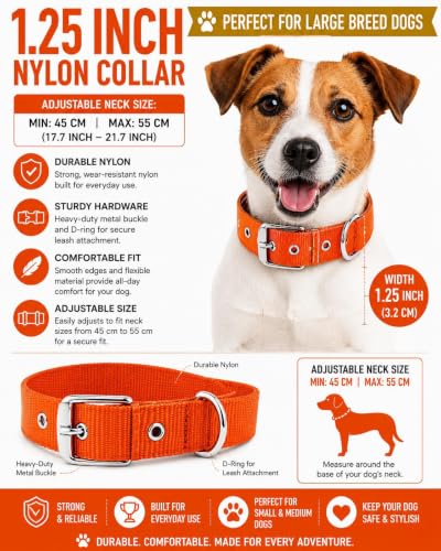 Image of RvPaws Belt Combo - Nylon Collar with 63-Inch Heavy Chain | Adjustable Pet Collar and Leash Set for Medium & Large Dogs (Orange, 1.25 Inch)