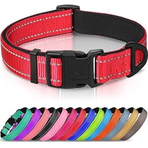 Joytale Reflective Dog Collar, Soft Neoprene Padded Nylon Pet Collars, Adjustable for Large Dogs, Upgraded Black Metal Alloy D-Ring for Secure Leash Walks, Red, L