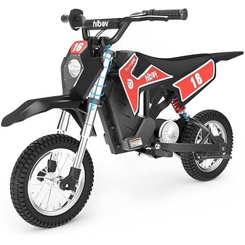 Hiboy DK1 36V Electric Dirt Bike for Kids, 300W & 15.5 MPH, Ages 3-10
