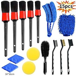 Bizcasa 15-delige auto-detailing-kwastenset, detaillerende borstelset, auto-buitenreinigingsset, auto…