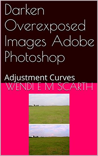 Darken Overexposed Images Adobe Photoshop: Adjustment Curves (Adobe Photoshop Made Easy by Wendi e M Scarth Book 57) (English Edition)