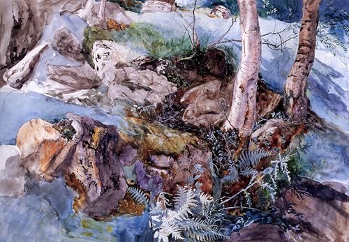 Cuadro sobre lienzo Studio delle rocce John Ruskin para oficina 60x90cm